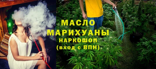 гашик Инта