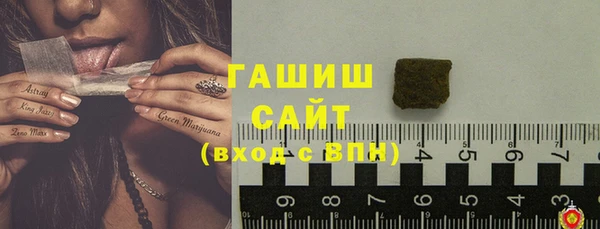 гашик Инта