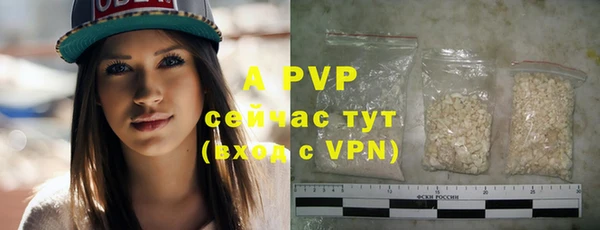 гашик Инта