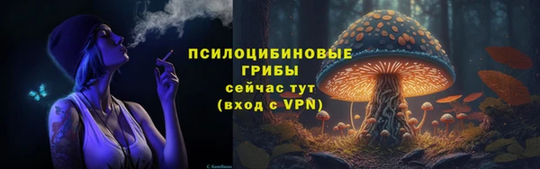 гашик Инта