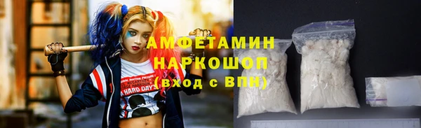 гашик Инта