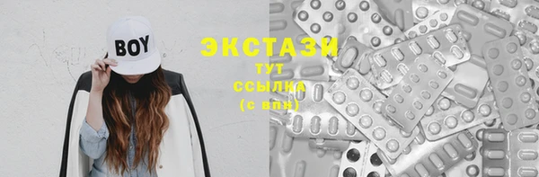 гашик Инта
