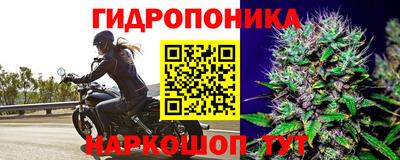 стаф Пушкино