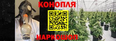 стаф Пушкино