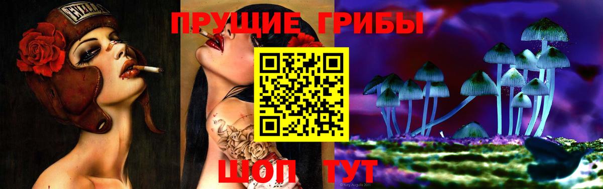Томск  наркота  Вход с VPN  Галлюциногенные грибы GOLDEN TEACHER 